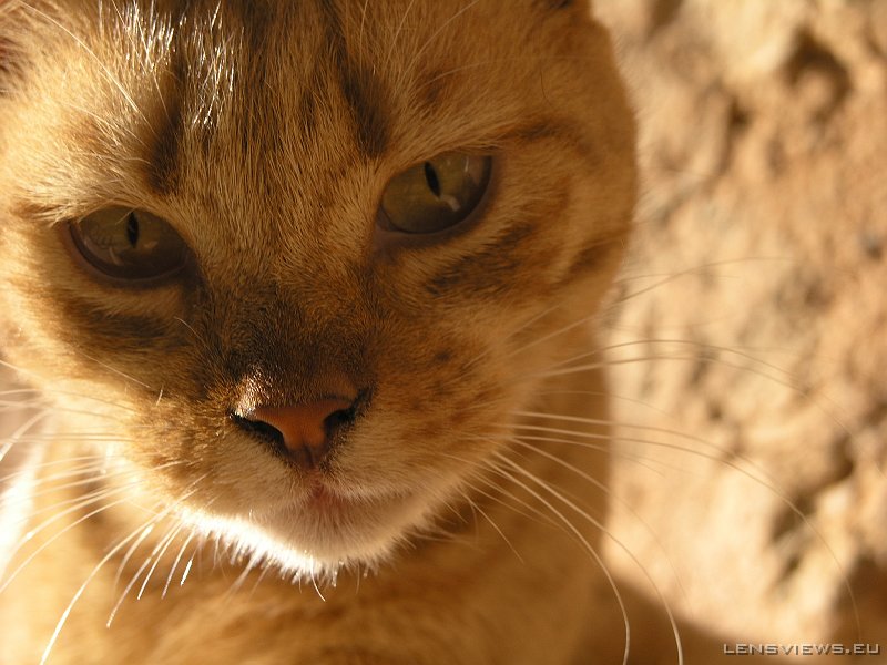 2006_11_23 10_19_47 OLYMPUS DIGITAL CAMERA         